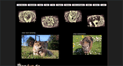 Desktop Screenshot of dog-fun.de